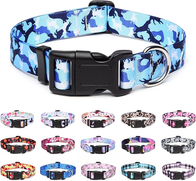 Adjustable Dog Collar with Patterns