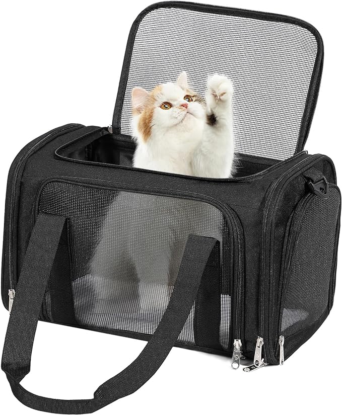 Cat Dog Carrier Up to 15 Lbs TSA Airline Approved Pet Carrier for Small Medium Cats Puppies Dog Carriers for Small Dogs Collapsible Soft Sided Cat Travel Carrier - Black 15.7"x10.2"x10.2"