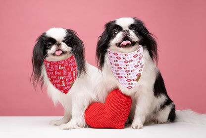 Valentines Day Dog Bandana 2 Pack