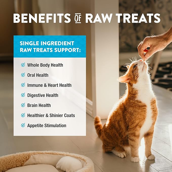 Northwest Naturals Raw Rewards Freeze-Dried Minnow Treats for Dogs and Cats - Bite-Sized Pieces - Healthy, 1 Ingredient, Human Grade Pet Food, All Natural - 1 Oz (Pack of 3) (Packaging May Vary)