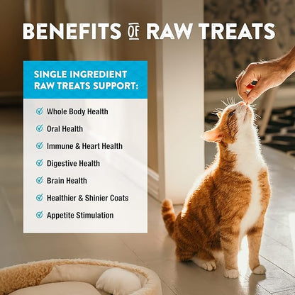 Northwest Naturals Raw Rewards Freeze-Dried Minnow Treats for Dogs and Cats - Bite-Sized Pieces - Healthy, 1 Ingredient, Human Grade Pet Food, All Natural - 1 Oz (Pack of 3) (Packaging May Vary)