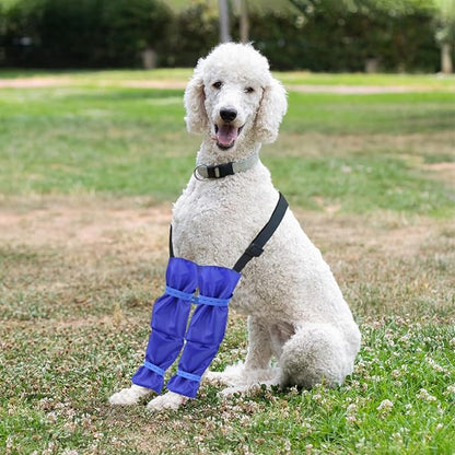 Waterproof Dog Leggings with Adjustable Strap Dogs Leg