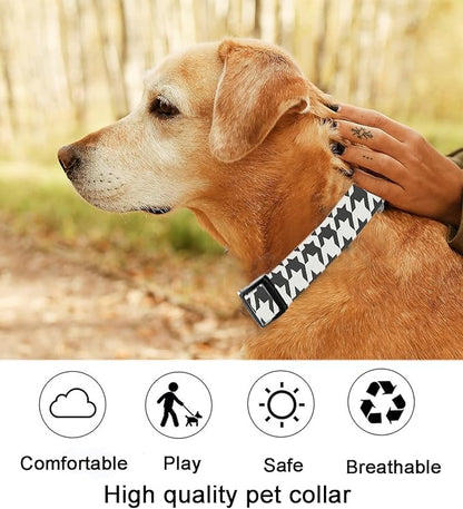 Dog Collar