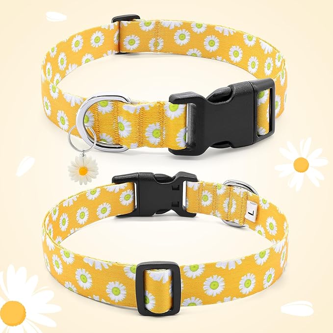BiPawTi Dog Collars