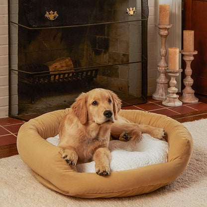 Maddie Donut Dog Bed with Removable Center Pillow (32" x 32")