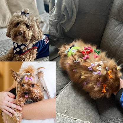 80PCS (40 Paris) Cute Dog Bows with Clips