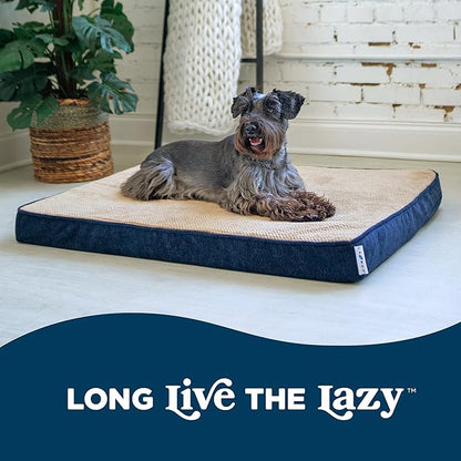 La-Z-Boy Petmate Bentley Orthopedic Foam Large Dog Bed (36 x 28 x 3 inches) 50lbs with