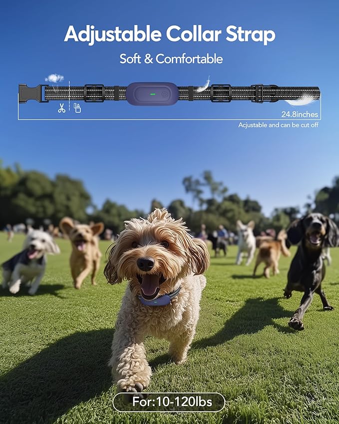 Dog Shock Collar 2 Dogs 1/2 Mile, IPX7 Waterproof 4 Training