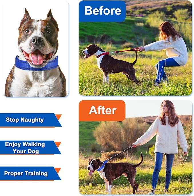 Supet Dog Training Collar for Small Medium Large Dogs with Quick Release Buckle