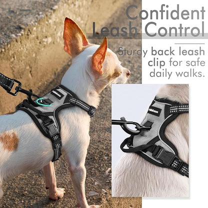 rabbitgoo Dog Harness, No-Pull Pet Harness with 2 Leash Clips, Adjustable Soft Padded Dog Vest, Reflective No-Choke Pet Oxford Vest with Easy Control Handle for Small Dogs, Grey, XS