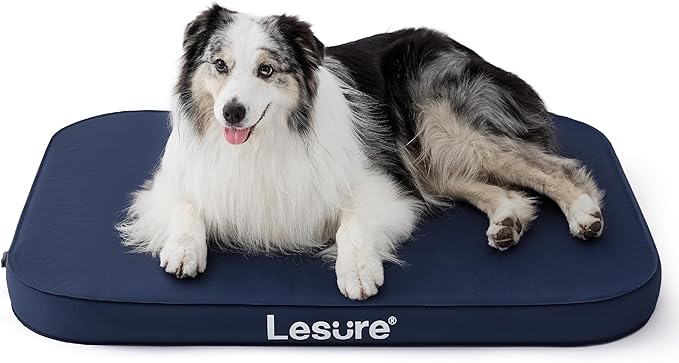 Lesure Inflatable Waterproof Dog Bed for XL Dog Bed 3 Inch