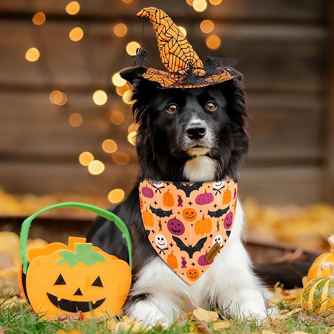 Halloween Dog Bandanas 2 Pack