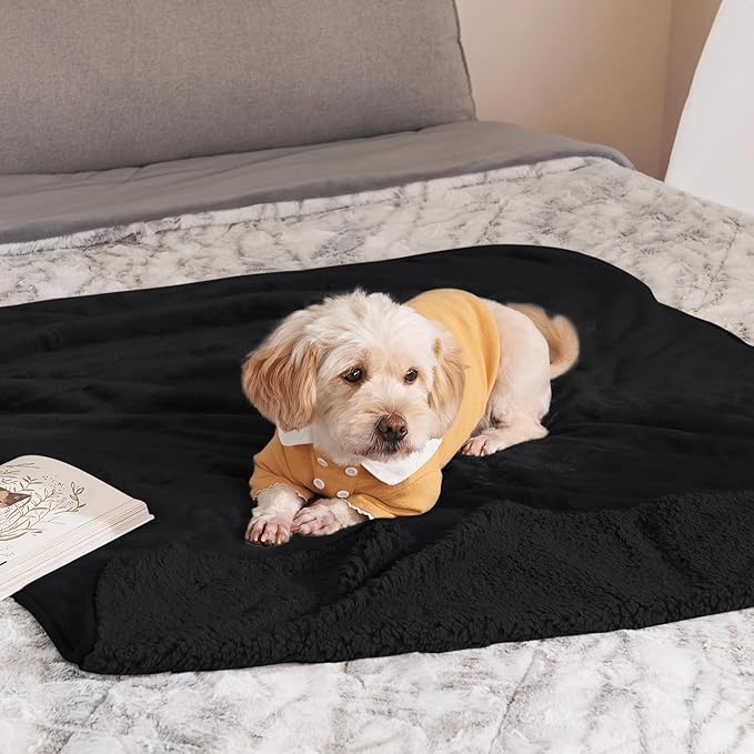 NICETOWN Waterproof Dog Blanket 40 x 50 in 40" x 50", Black