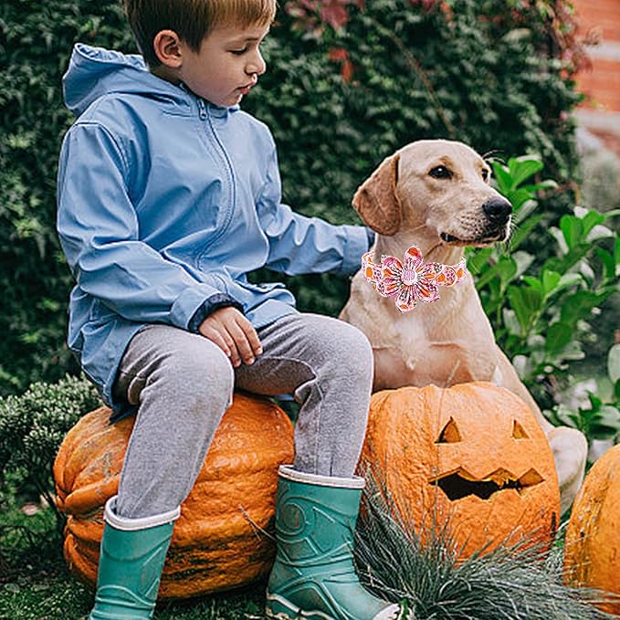 Lionheart glory Premium Halloween Dog Collars Flower Dog Collar Heavy Cotton Adjustable Fall Dog Collar for Small Dogs Pumpkin Dog Collar Flower Dog Collar with Bow Tie