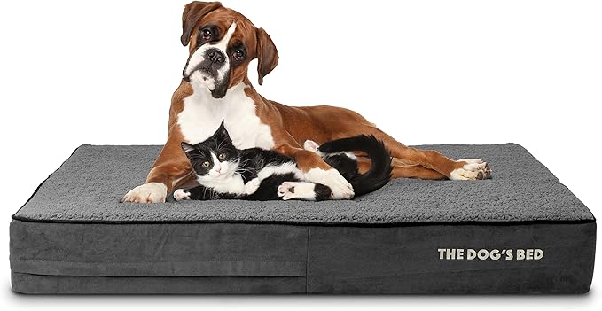 The Dog’s Bed Orthopedic Memory Foam Dog Bed 46x28, Pain