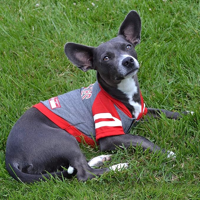 NCAA Ohio State Buckeyes Hoodie for Dogs & Cats, X-Small Collegiate Licensed Dog Hoody Tee Shirt. Sports Hoody T-Shirt for Pets. College Sporty Dog Hoodie Shirt.