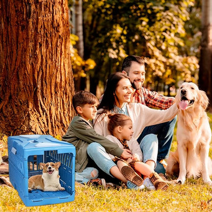 Collapsible Puppy Crate Portable Dog Kennel Portable Travel 22 Inch