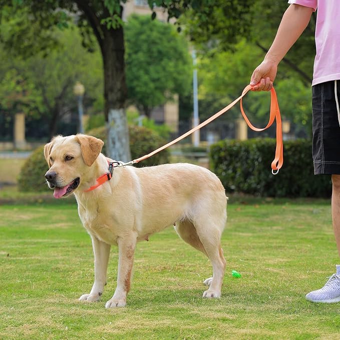 Waterproof Dog Collar 11.8-18.5 inch)