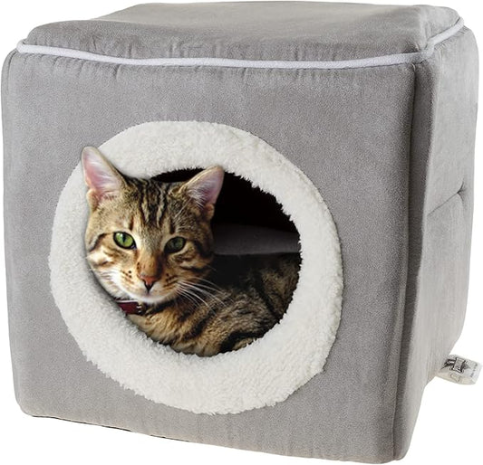 Cat House