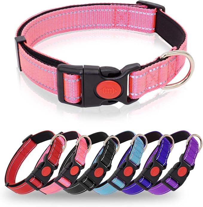Reflective Dog Collar
