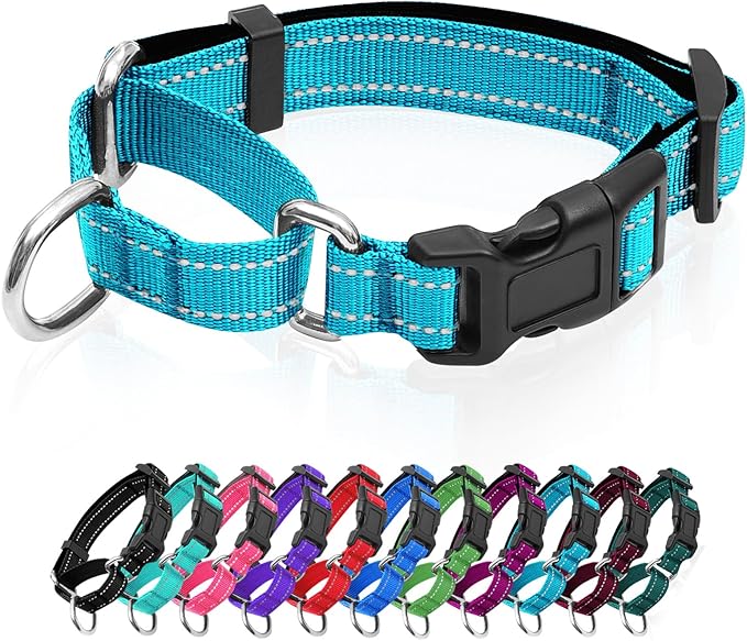 Reflective Martingale Dog Collars. Dog Collar with Quick