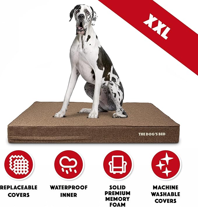 The Dog’s Bed Orthopedic Memory Foam Dog Bed 2XL Brown 54x36, Pain