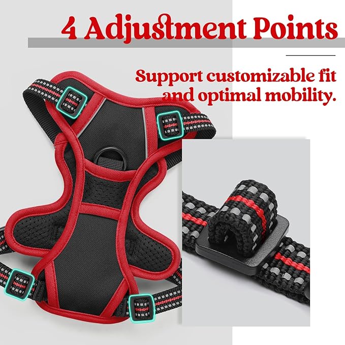 rabbitgoo Dog Harness 2 Leash