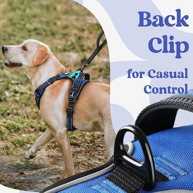 rabbitgoo Dog Harness Small Sized 3 Buckles,