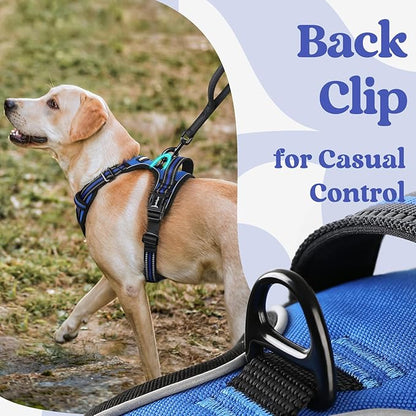 rabbitgoo Dog Harness Small Sized 3 Buckles,