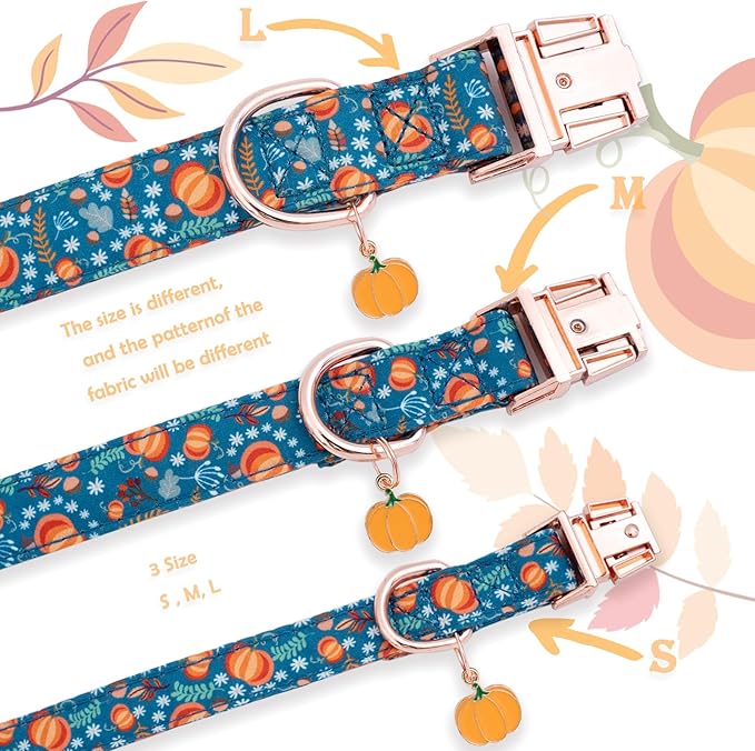 Faygarsle Bow Tie Dog Collar Halloween Fall