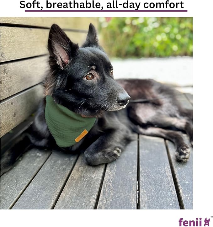 Premium Cotton Dog Bandanas 2 Pack