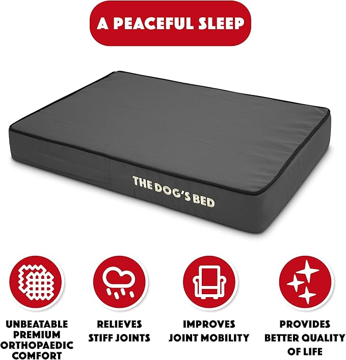 The Dog’s Bed Orthopedic Memory Foam Dog Bed 28x19, Pain