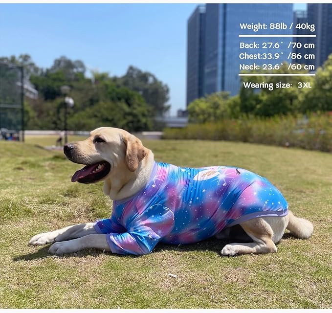 Dog Blue Purple Tiedye T Shirts Shining Unicorn Pattern Printed Pet Shirt Softable Pajamas for Small Dogs (S, Blue)