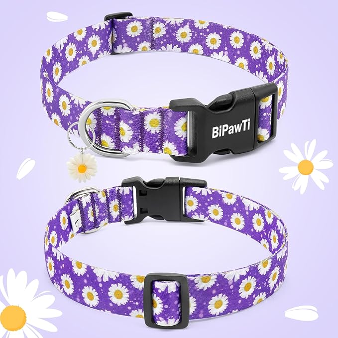 BiPawTi Floral Dog Collars for Large Dog