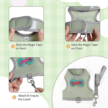 AIITLE Rabbit Harness and Leash Set with Cute Bow