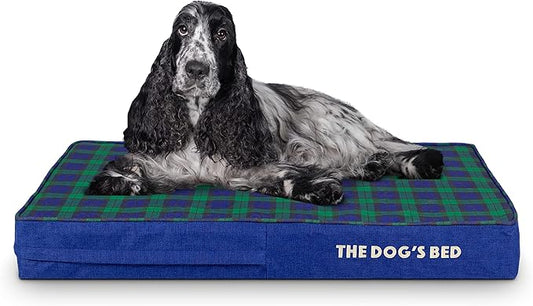 The Dog’s Bed Orthopedic Memory Foam Dog Bed 34x22, Pain