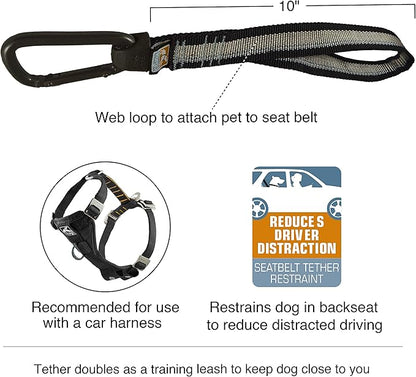 Kurgo Dog seat Belt Pet Safety Tether with Carabiner, Tru-Fit Enhanced Strength Replacement Tether, Use with Car Safety Dog Harness, seat Belt Tether (Black/Grey)