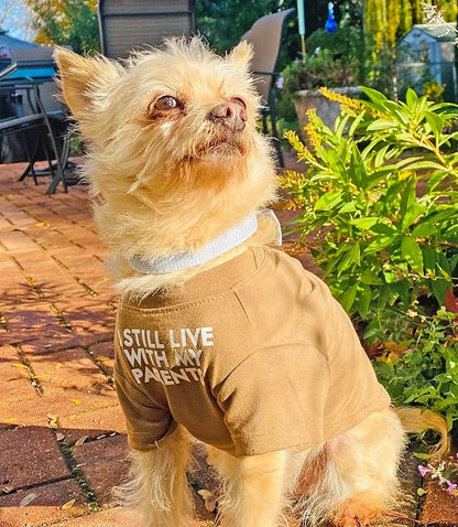 Cute Dog Clothes (XXL-(19~23lb), Chest~21.5",