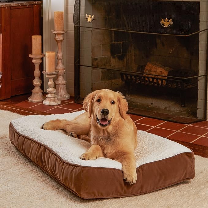 Buster Deluxe Reversible Pillow Style Sherpa Dog Bed (36 x 24 in.)