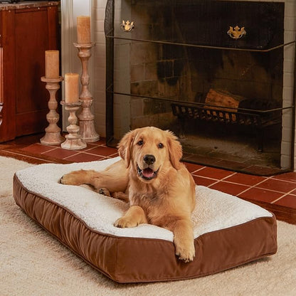 Buster Deluxe Reversible Pillow Style Sherpa Dog Bed (36 x 24 in.)