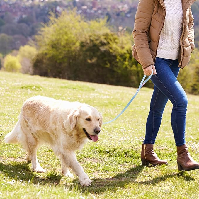 Waterproof Dog Leash Carabiner Leash for Dogs Soft 5ft*15mm*2.0mm Light