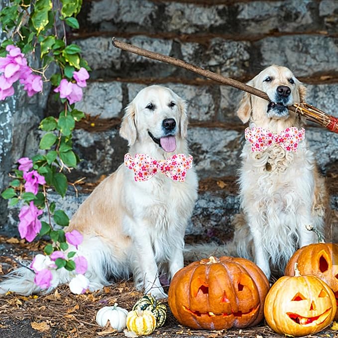 Lionheart glory Halloween Dog Collars, Bowtie Dog Collar Heavy Duty Adjustable Fall Holiday Dog Collar for Large Collar Dog Bow Female or Male Dog Collar Pet Collar Gift