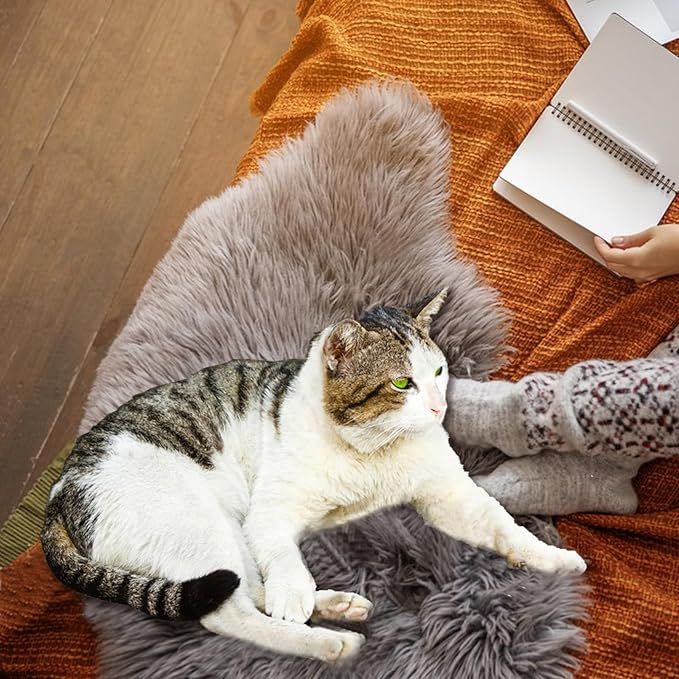 Fluffy Pet Dog Cat Bed Mat
