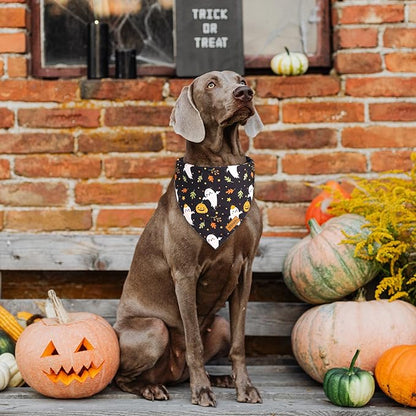 Halloween Dog Bandanas 2 Pack