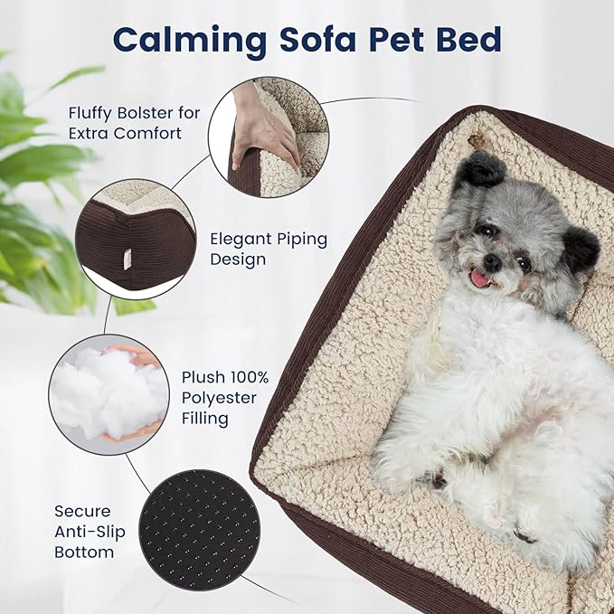 Miguel Washable Dog Bed with Removable Cushion for Small Dogs 20 Inch