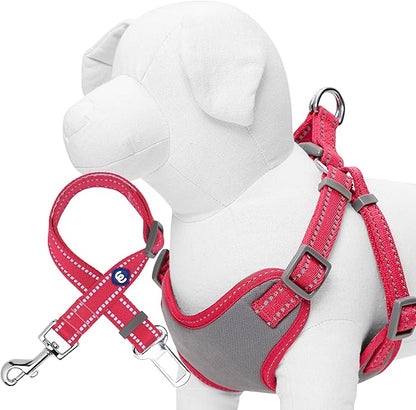 Blueberry Pet Essentials Pastel Color Reflective Matching Dog Harness Vest and Seatbelt Set in Very Berry