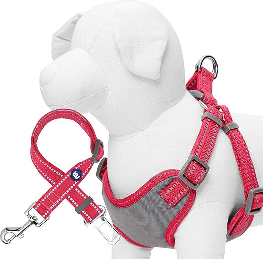 Blueberry Pet Essentials Pastel Color Reflective Matching Dog Harness Vest and Seatbelt Set in Very Berry