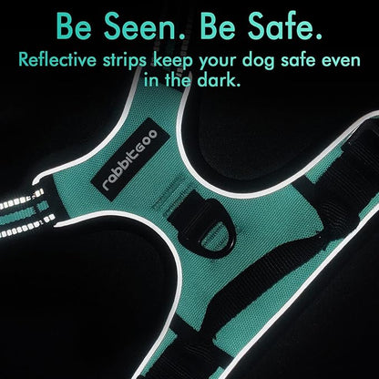 rabbitgoo Dog Harness 2 Leash