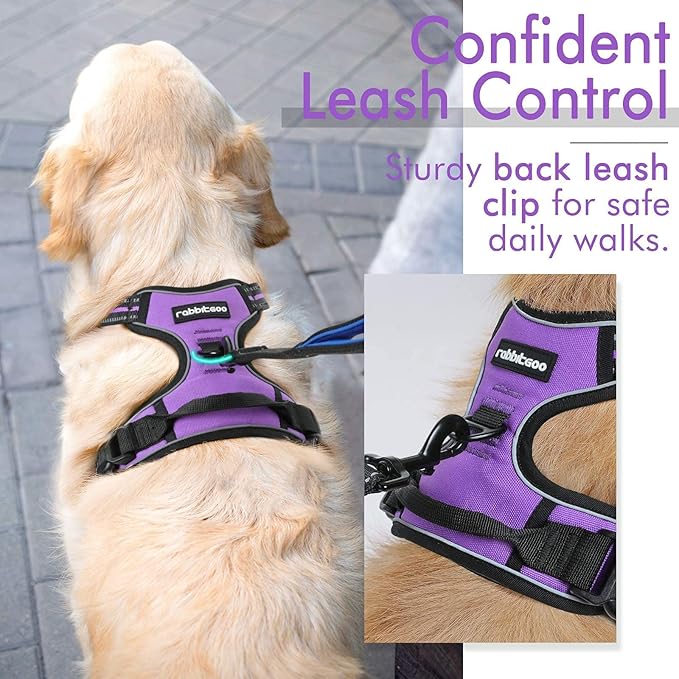 rabbitgoo Dog Harness, No-Pull Pet Harness with 2 Leash Clips, Adjustable Soft Padded Dog Vest, Reflective No-Choke Pet Oxford Vest with Easy Control Handle for Large Dogs, Purple, XL