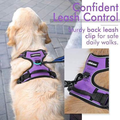 rabbitgoo Dog Harness 2 Leash